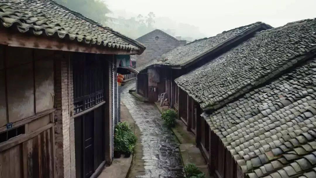美丽的铅笔裙